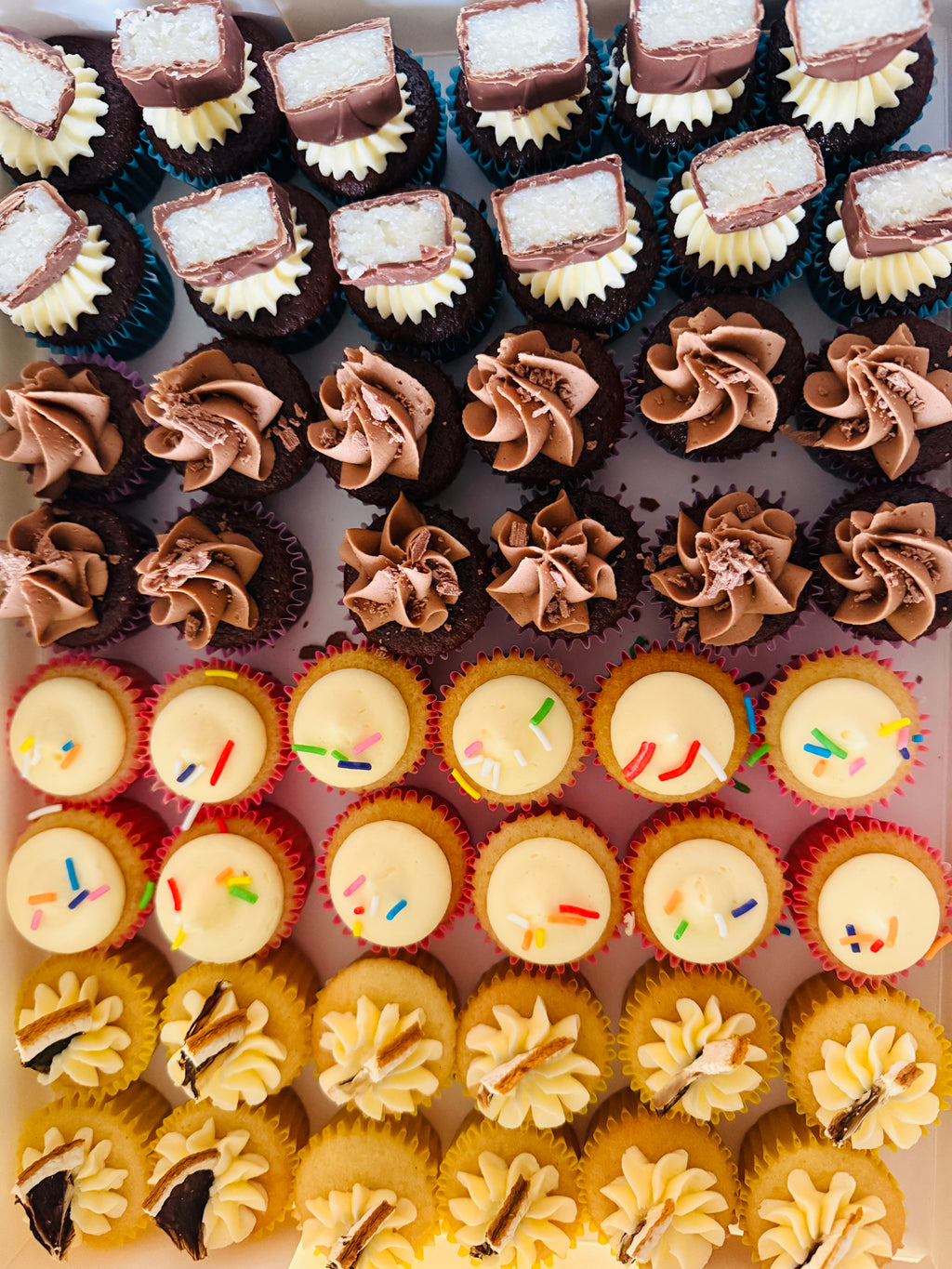 Custom Mini Cupcakes - 24